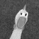 my profile picture